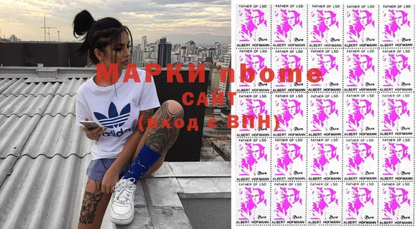 шишки Дмитров