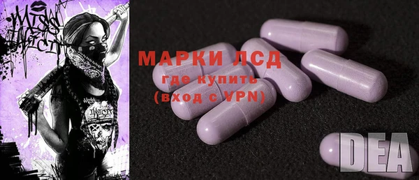 шишки Дмитров