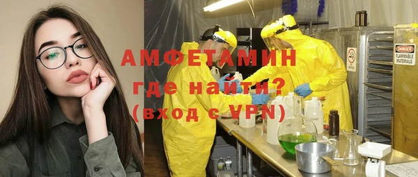 шишки Дмитров